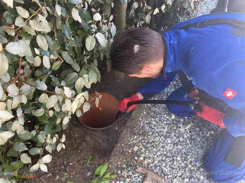 Rioolvliegjes Zutphen Rioolvliegjes Zutphen